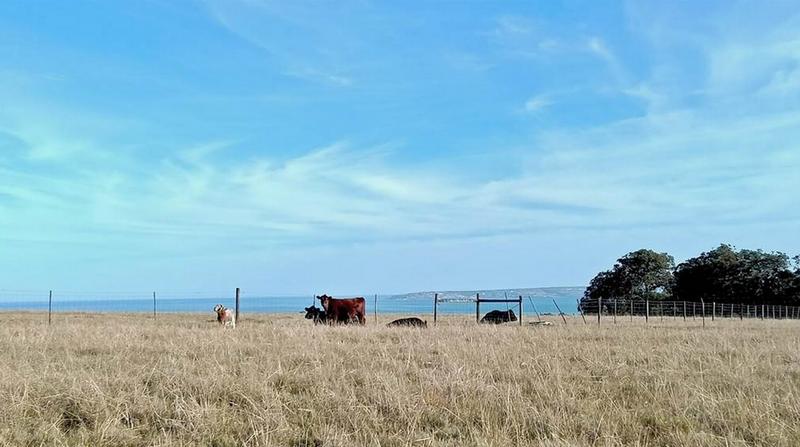 4 Bedroom Property for Sale in Groot Brakrivier Rural Western Cape